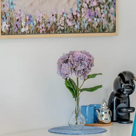 公寓 Malibu Park With Ocean Views & Heated Pool 阿德耶